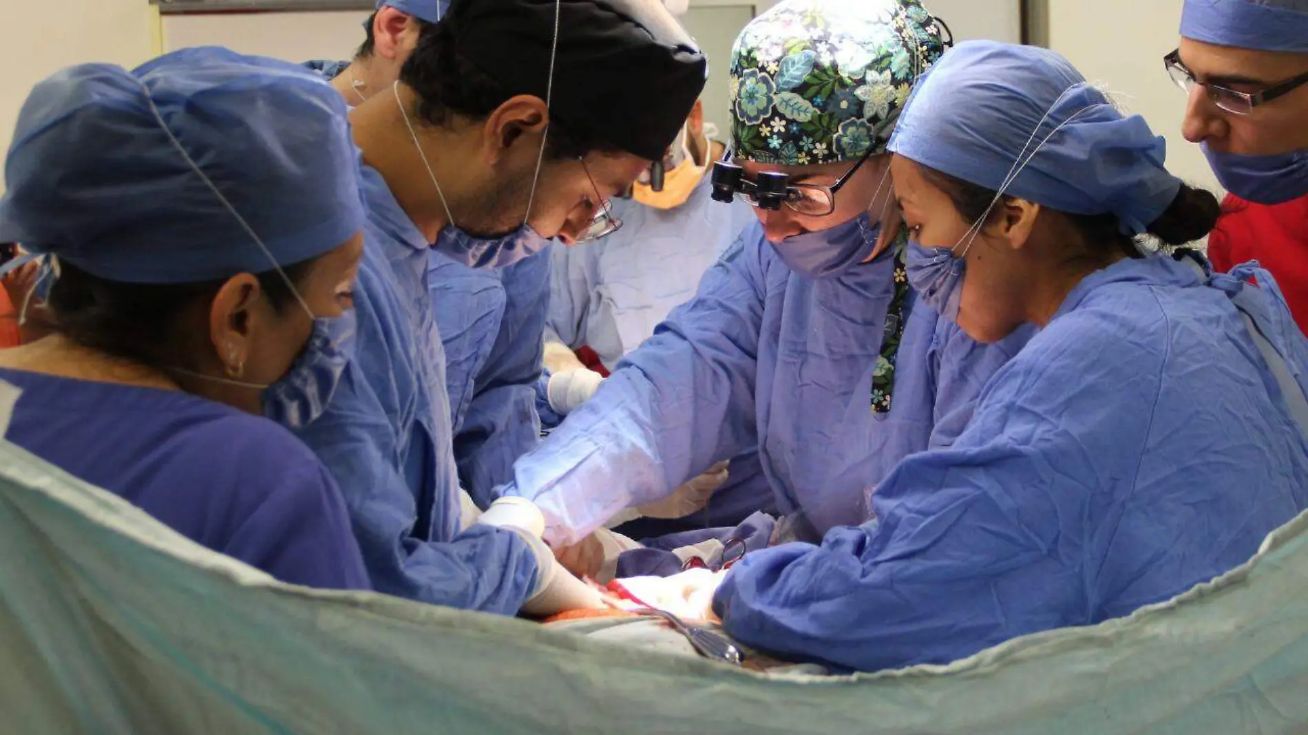 DONACION Y TRANSPLANTE DE ORGANOS EN JALISCO miriam martinez (9)